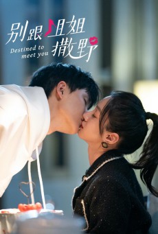 เดสทินี รักนี้พี่ขอ Destined to Meet You พากย์ไทย ตอนที่1-20